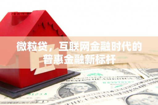 孟津微粒贷，互联网金融时代的普惠金融新标杆