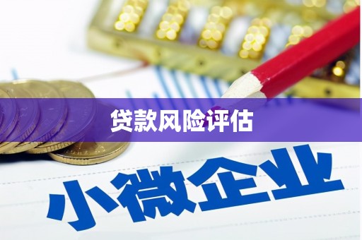 孟津贷款风险评估