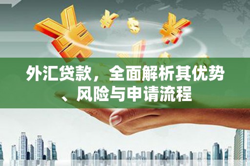 孟津外汇贷款，全面解析其优势、风险与申请流程