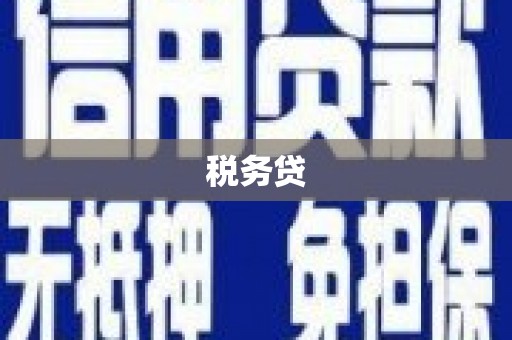 孟津税务贷
