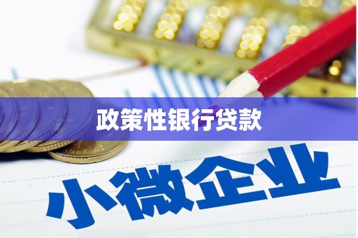 孟津政策性银行贷款