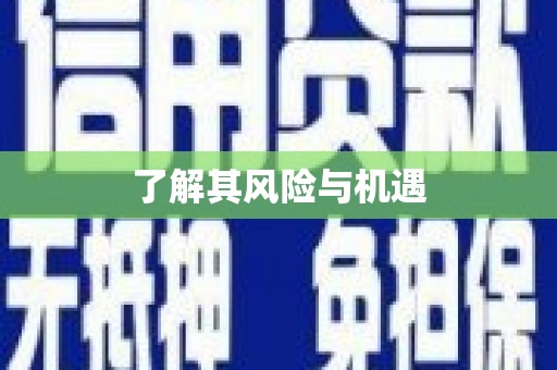 孟津了解其风险与机遇
