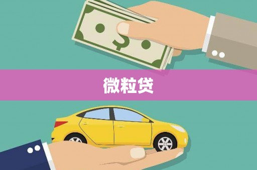 孟津微粒贷