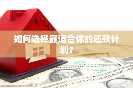 孟津如何选择最适合你的还款计划？