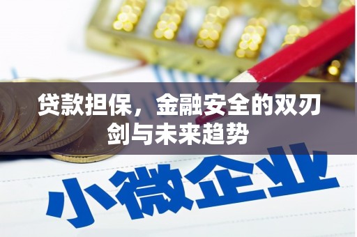 孟津贷款担保，金融安全的双刃剑与未来趋势