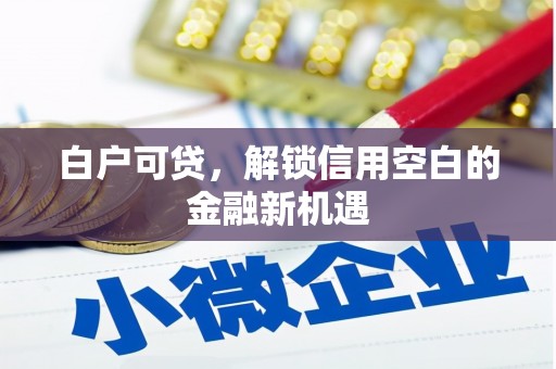 孟津白户可贷，解锁信用空白的金融新机遇