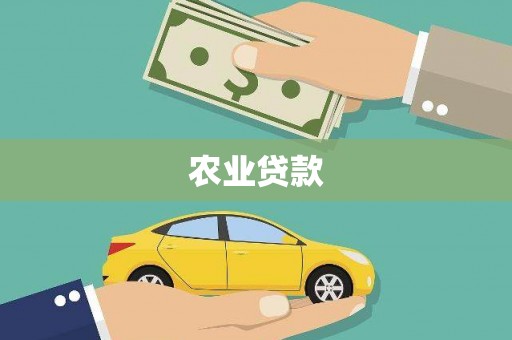 孟津农业贷款