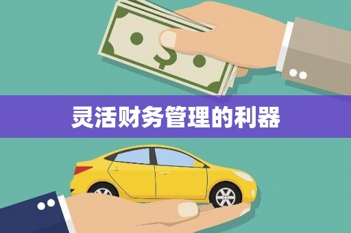 孟津灵活财务管理的利器