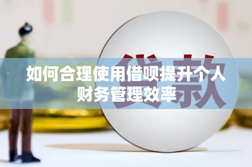 孟津如何合理使用借呗提升个人财务管理效率