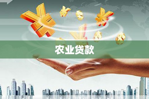 孟津农业贷款