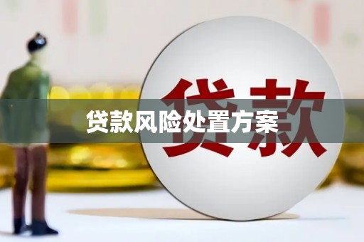 孟津贷款风险处置方案