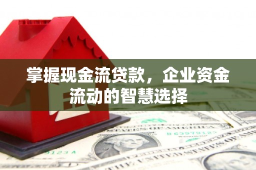 孟津掌握现金流贷款，企业资金流动的智慧选择