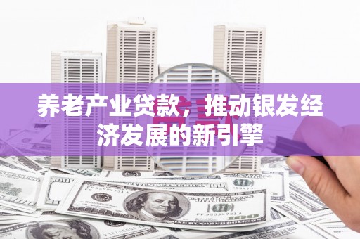 孟津养老产业贷款，推动银发经济发展的新引擎