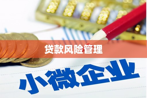 孟津贷款风险管理