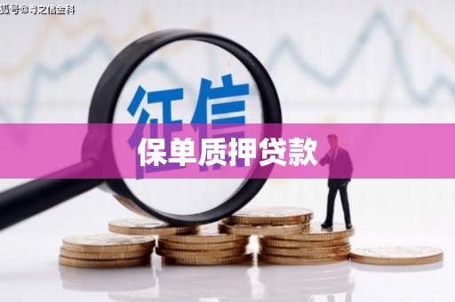 孟津保单质押贷款