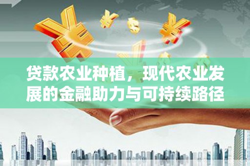 孟津贷款农业种植，现代农业发展的金融助力与可持续路径