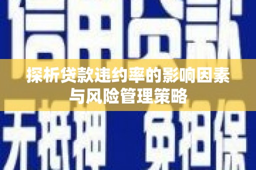 孟津探析贷款违约率的影响因素与风险管理策略