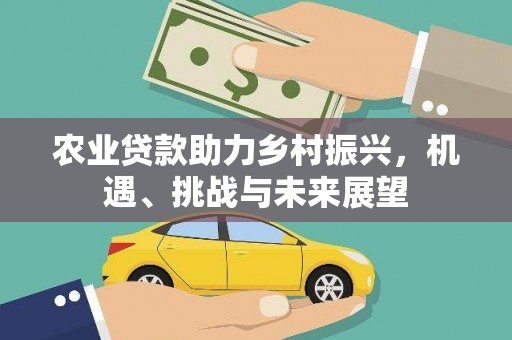 孟津农业贷款助力乡村振兴，机遇、挑战与未来展望