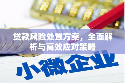 孟津贷款风险处置方案，全面解析与高效应对策略