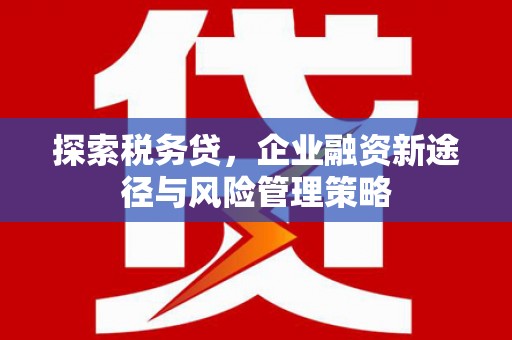 孟津探索税务贷，企业融资新途径与风险管理策略