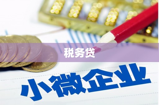 孟津税务贷