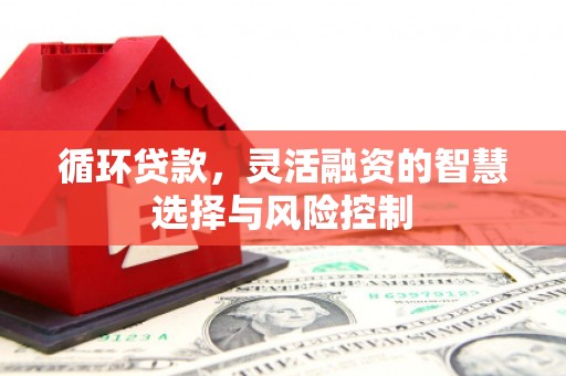 孟津循环贷款，灵活融资的智慧选择与风险控制