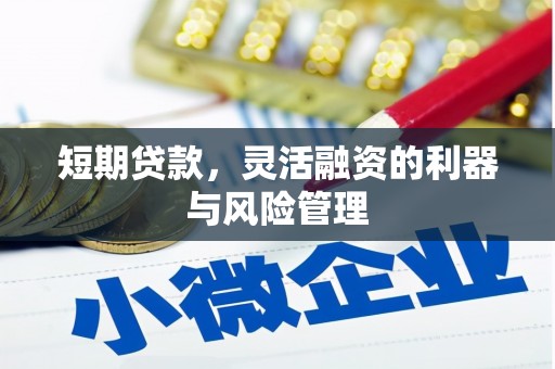 孟津短期贷款，灵活融资的利器与风险管理