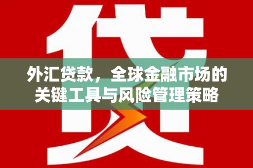 孟津外汇贷款，全球金融市场的关键工具与风险管理策略