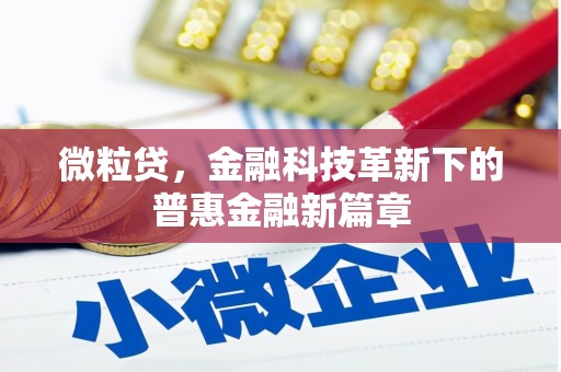 孟津微粒贷，金融科技革新下的普惠金融新篇章