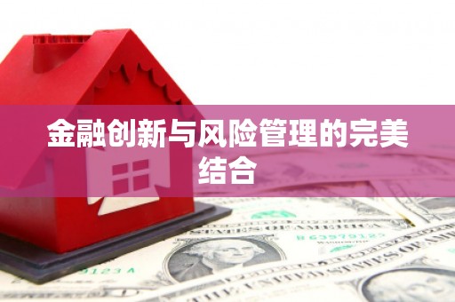 孟津金融创新与风险管理的完美结合