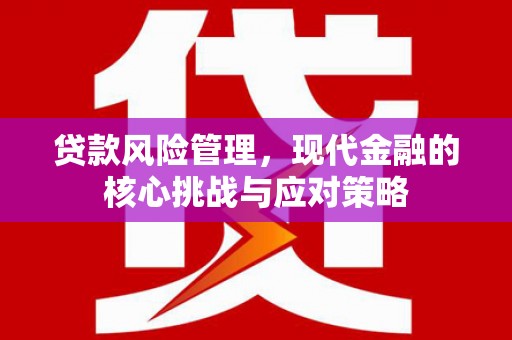 孟津贷款风险管理，现代金融的核心挑战与应对策略
