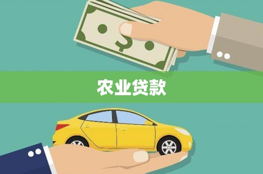 孟津农业贷款