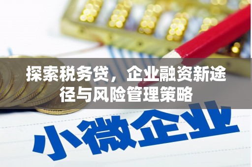 孟津探索税务贷，企业融资新途径与风险管理策略