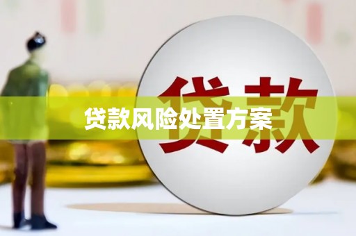 孟津贷款风险处置方案