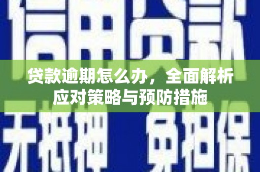 孟津贷款逾期怎么办，全面解析应对策略与预防措施