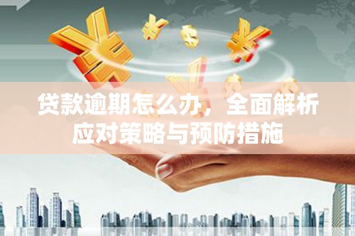 孟津贷款逾期怎么办，全面解析应对策略与预防措施