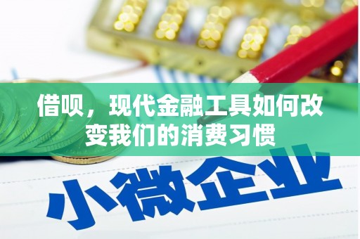 孟津借呗，现代金融工具如何改变我们的消费习惯