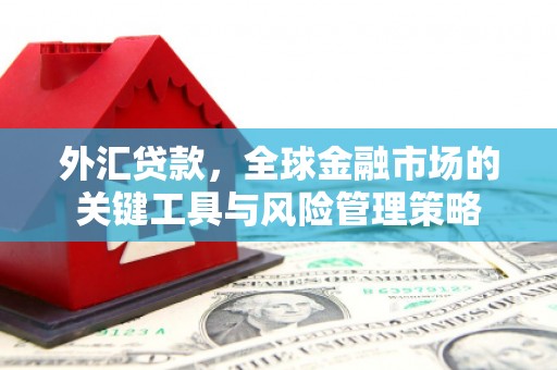 孟津外汇贷款，全球金融市场的关键工具与风险管理策略
