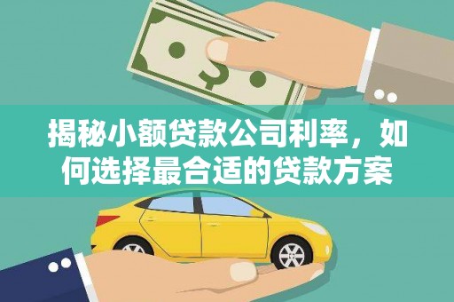 孟津揭秘小额贷款公司利率，如何选择最合适的贷款方案