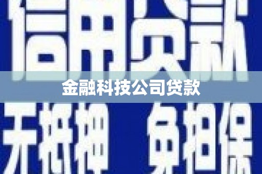 孟津金融科技公司贷款
