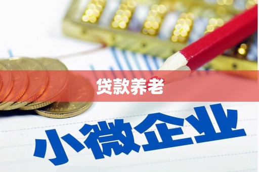 孟津贷款养老
