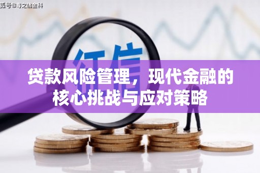 孟津贷款风险管理，现代金融的核心挑战与应对策略