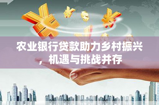 孟津农业银行贷款助力乡村振兴，机遇与挑战并存