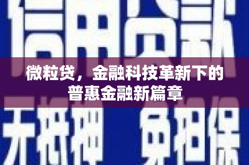 孟津微粒贷，金融科技革新下的普惠金融新篇章