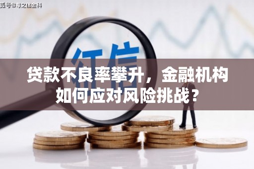 孟津贷款不良率攀升，金融机构如何应对风险挑战？