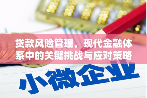 孟津贷款风险管理，现代金融体系中的关键挑战与应对策略