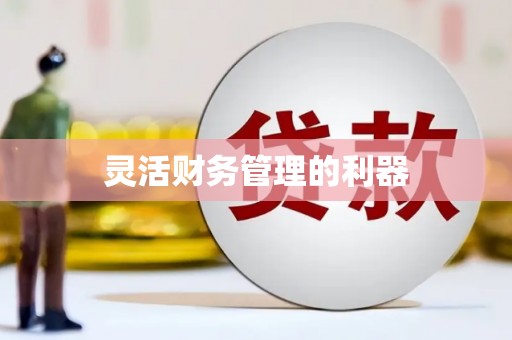 孟津灵活财务管理的利器