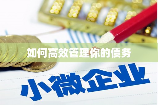 孟津如何高效管理你的债务