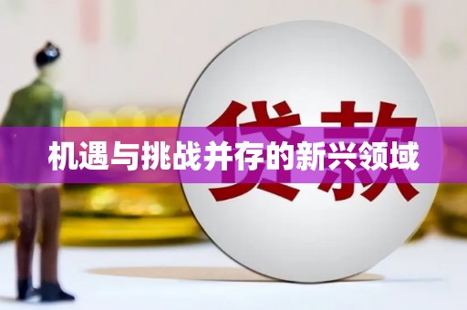 孟津机遇与挑战并存的新兴领域