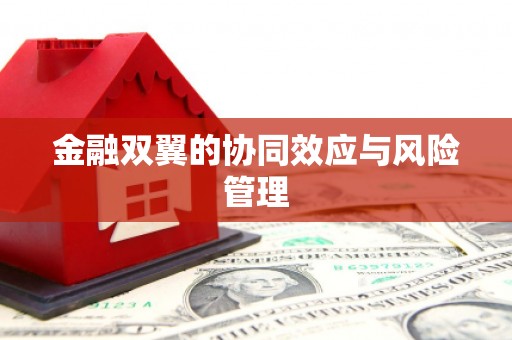 孟津金融双翼的协同效应与风险管理